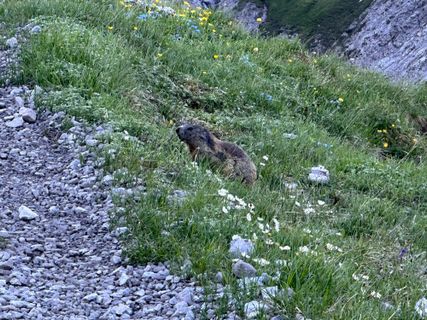 Photo de Norbert Herbig le long du parcours