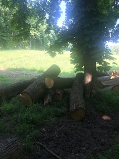 Foto von Kellner Heidi entlang der Tour