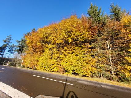Photo de mmecki le long du parcours