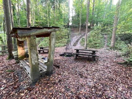 Photo de GabrielSR76 le long du parcours