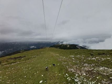 Foto de Antonietta Havasi a lo largo del recorrido