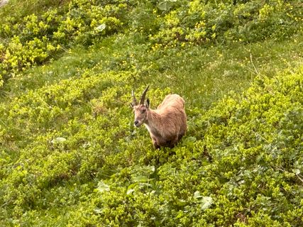 Photo de Norbert Herbig le long du parcours