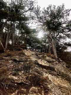 Fotografia z Kellner Heidi na trase