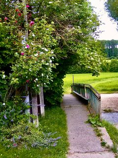 Fotografie z Kellner Heidi na trase