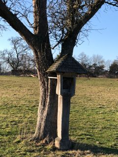 Fotografia z Barbara Schober na trase