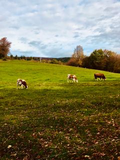 Foto von Kellner Heidi entlang der Tour