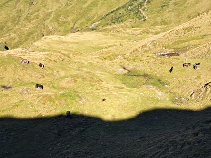Foto von Florian Dumpfhart entlang der Tour