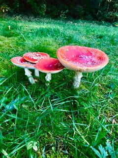 Foto de Kellner Heidi a lo largo del recorrido