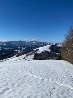 Fotografija s spletne strani Mario Klauser na poti