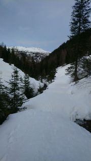 Fotografija s spletne strani Silvia Kehl na poti