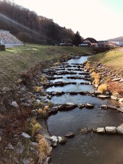 Foto de Kellner Heidi a lo largo del recorrido