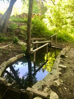 Foto von Kellner Heidi entlang der Tour