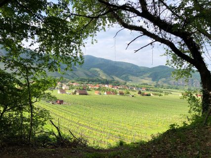 Foto von Omer Sharon entlang der Tour