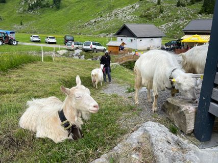 Photo de GabrielSR76 le long du parcours