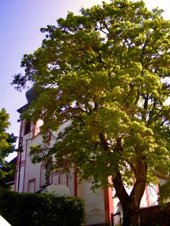Foto von Kellner Heidi entlang der Tour