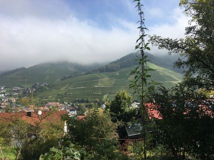 Foto von Ralf Umminger entlang der Tour