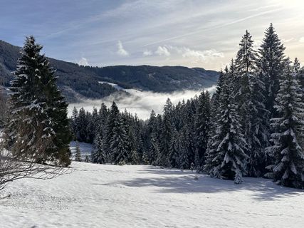 Photo de Norbert Herbig le long du parcours