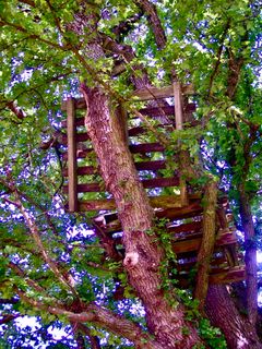 Fotografie z Kellner Heidi na trase