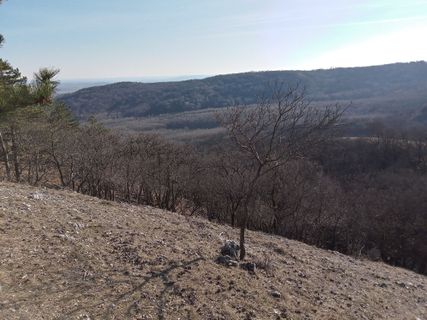 Fotografia z Ferenc Kiss na trase