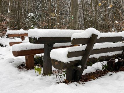 Photo de Norbert Herbig le long du parcours