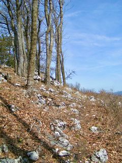 Foto von Kellner Heidi entlang der Tour