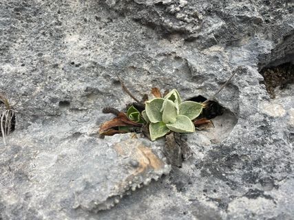 Foto von pedaklaus entlang der Tour
