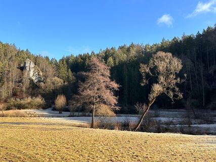 Foto de Norbert Herbig a lo largo del recorrido