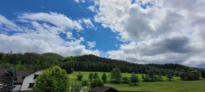 Fotografija s spletne strani Nicky na poti