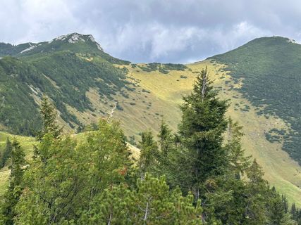 Photo de Norbert Herbig le long du parcours