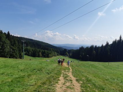 Foto von mmecki entlang der Tour