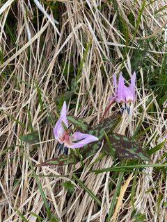 Foto von Fabio Infanti entlang der Tour