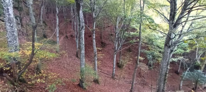 Fotografija s spletne strani Gabriele Cucchi na poti