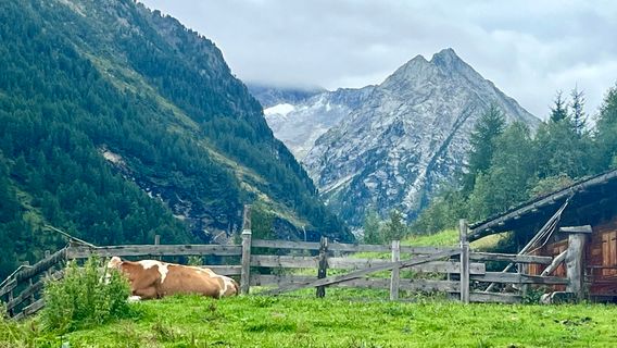 Foto de Katja Hechler a lo largo del recorrido