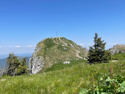 Foto von Simone Maier entlang der Tour