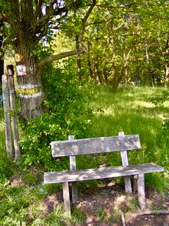 Fotografie z Kellner Heidi na trase