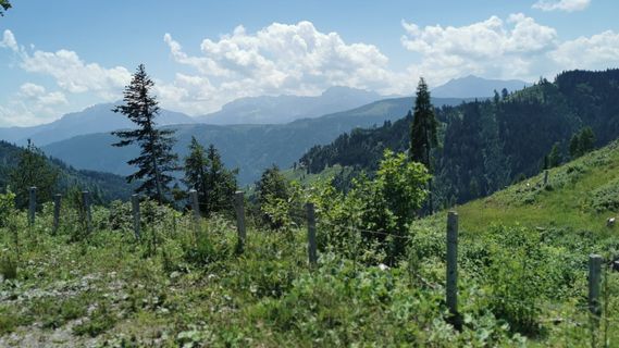Photo de Bernd Schmitt le long du parcours