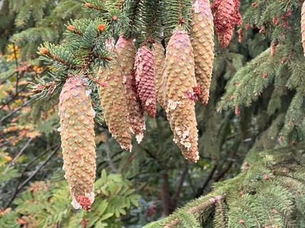 Foto de Norbert Herbig a lo largo del recorrido