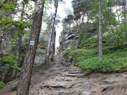 Foto de nordbergschnecke a lo largo del recorrido