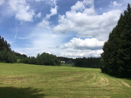 Foto von Ute Mecheels entlang der Tour