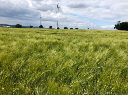 Photo de Christian Schulz le long du parcours