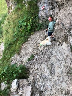 Foto von Holger Koch entlang der Tour