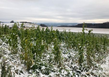 Zdjęcie z Kellner Heidi wzdłuż trasy