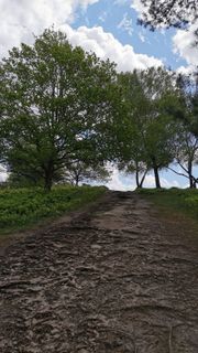 Foto von Bernd Schmitt entlang der Tour