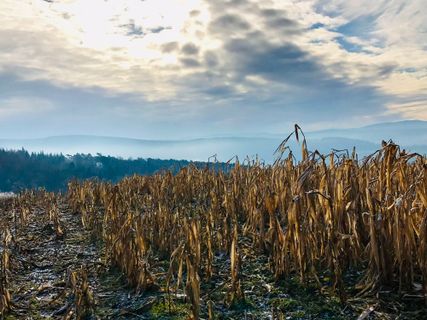 Foto von Kellner Heidi entlang der Tour