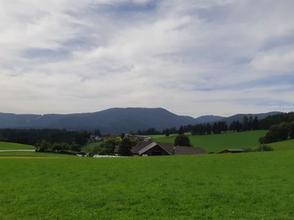 Foto von mmecki entlang der Tour