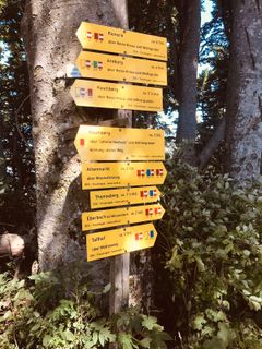 Kuva osoitteesta Kellner Heidi matkan varrella