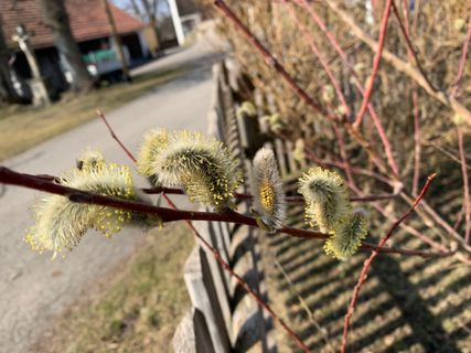 Фото с сайта Kerstin Müller во время экскурсии