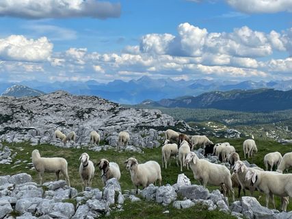 Photo de Michael Bauer le long du parcours