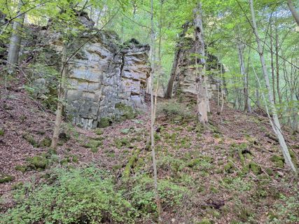 Zdjęcie z Jaap Rozeboom wzdłuż trasy