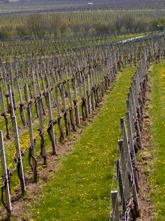 Fotografie z Kellner Heidi na trase